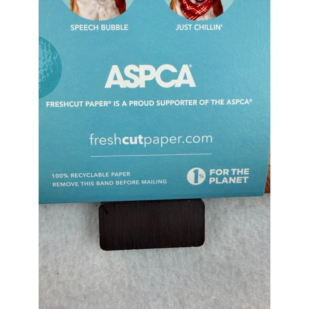 New Freshcut Paper English Bulldog Pop-Up Pup 3D Greeting Card with Accessories